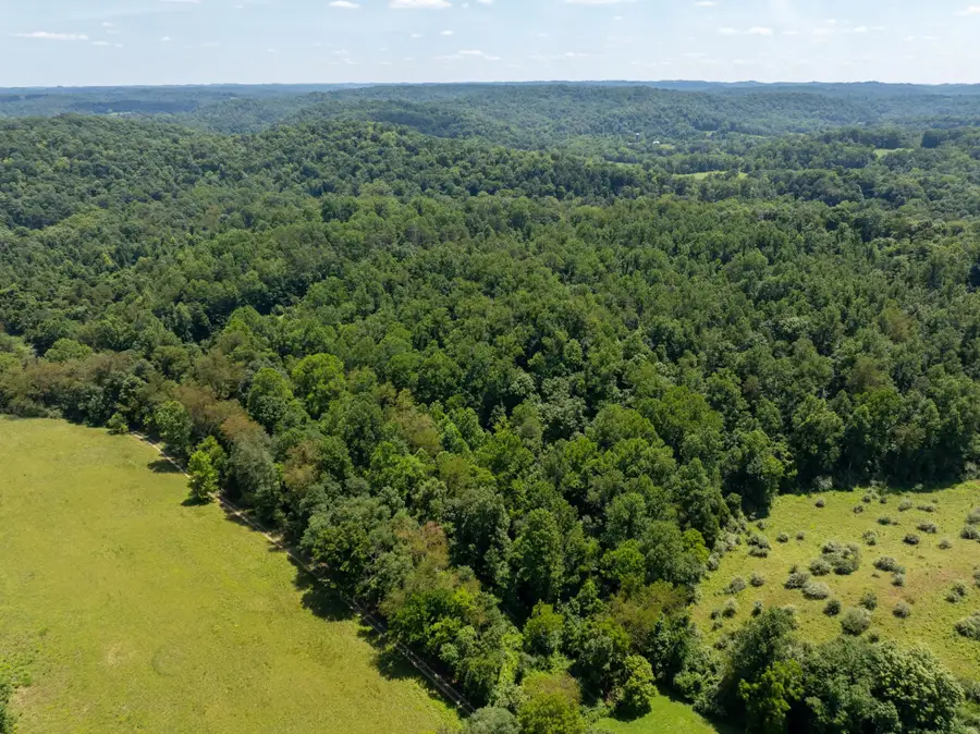 0 Carney Lane, Leon, WV 25123 - #3