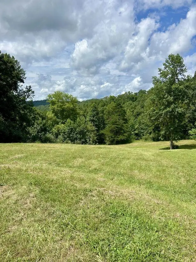 21481 Route 152, Genoa, WV 25517 - #1