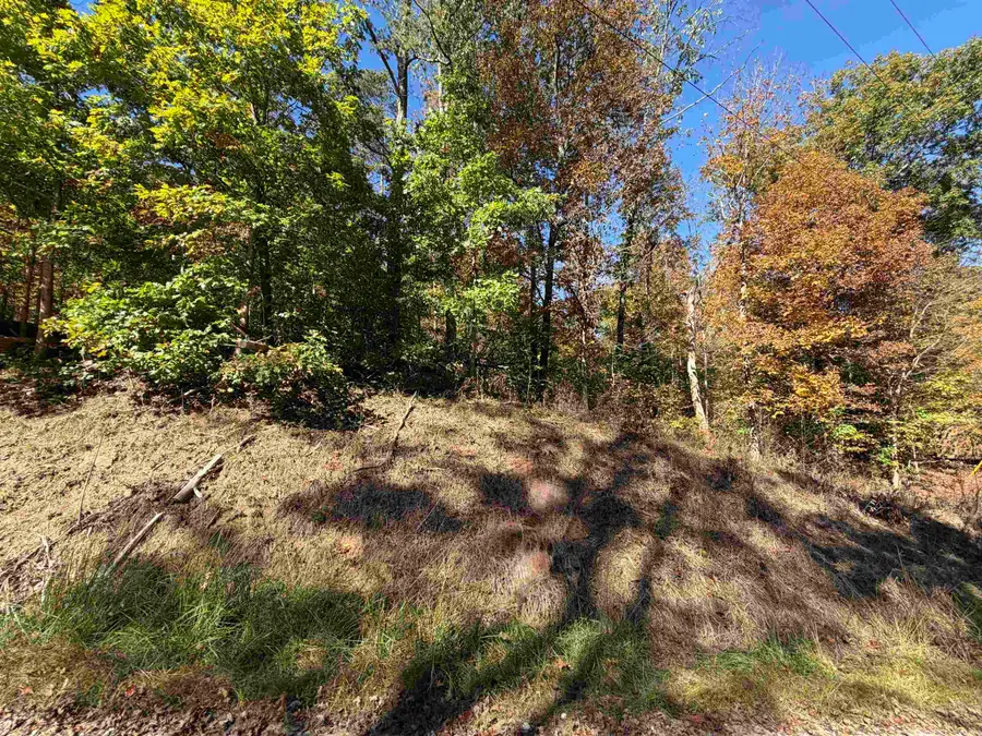 0 Private Drive 3950, Willow Wood, OH 45696 - #2