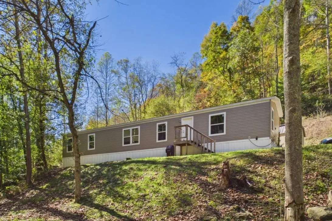 617 Silk Fork Road, Fort Gay, WV 25514 - #1