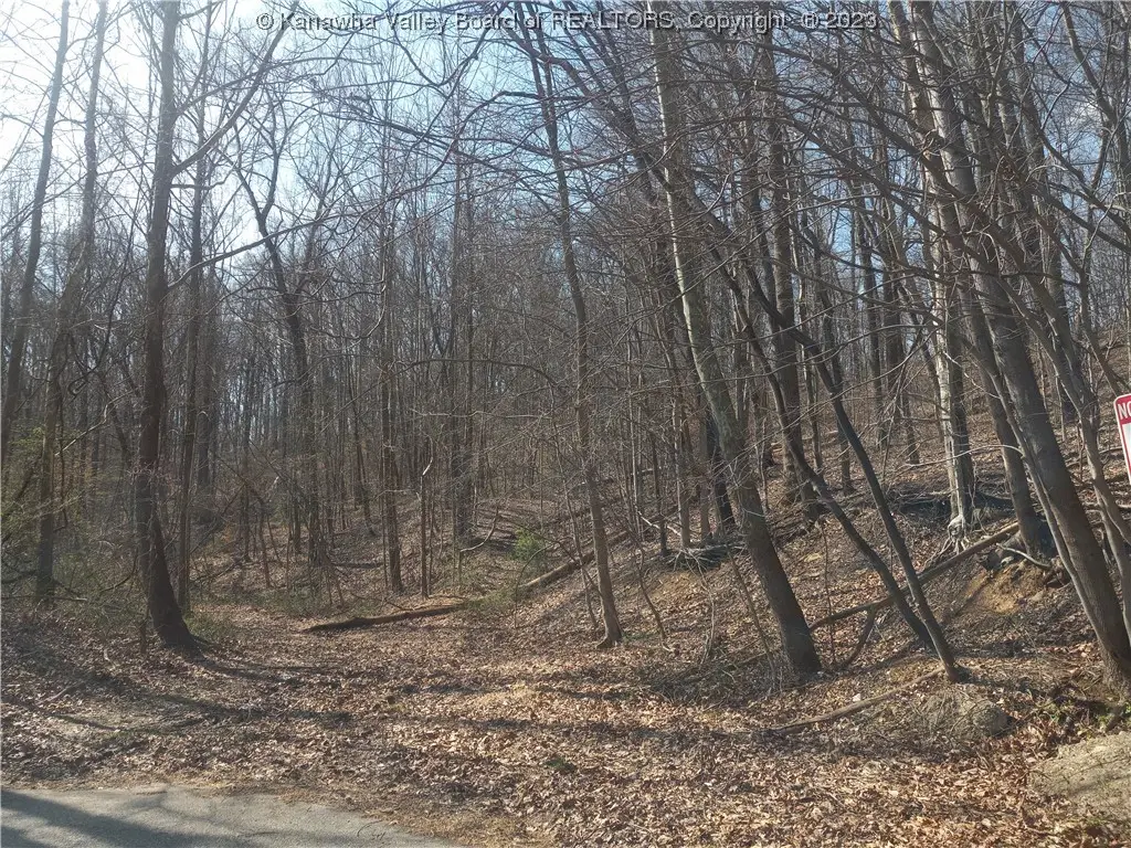 0 Lilly Drive, Charleston, WV 25387 - Image #1