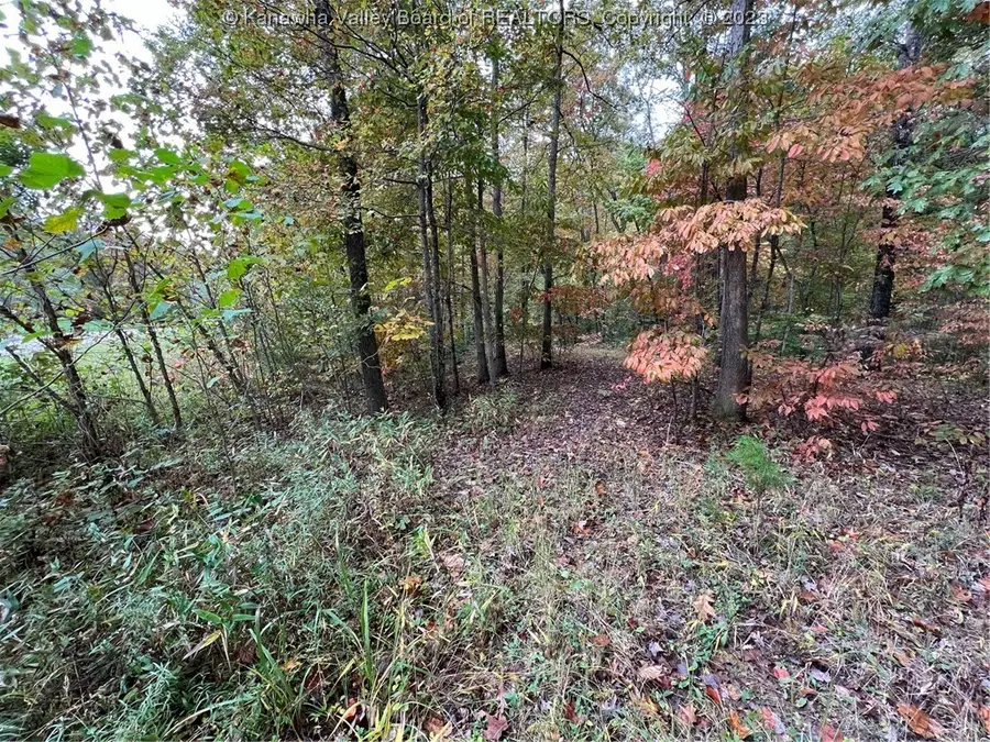 0 Crystal Springs Drive, Winfield, WV 25213 - Image #3