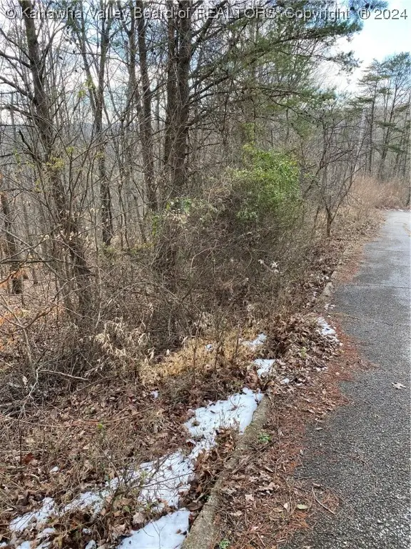 0 Sunrise Lane, Cross Lanes, WV 25313 - Image #2