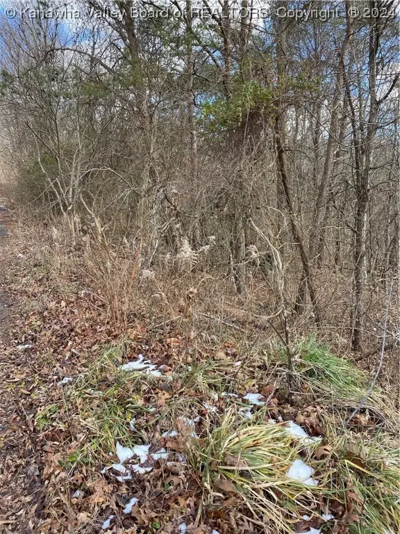 0 Sunrise Lane, Cross Lanes, WV 25313 - Image #3