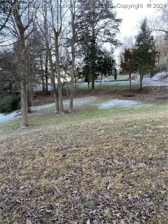 0 Hickory Drive, Charleston, WV 25320 - Image #1