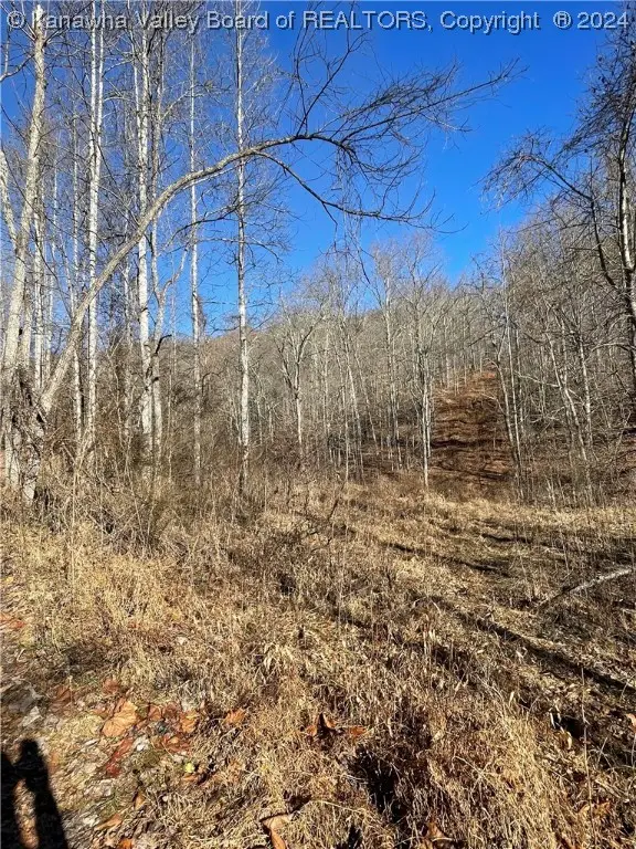 0 Two Mile Creek Road, Wayne, WV 25570 - Image #2