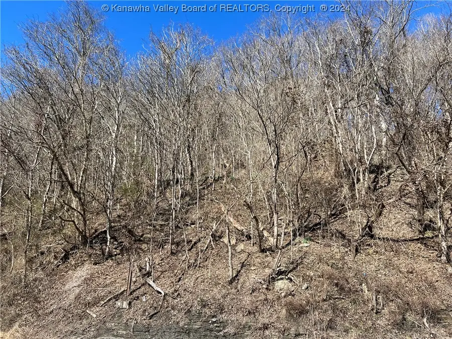 7245 E Dupont Avenue, Glasgow, WV 25086 - Image #3