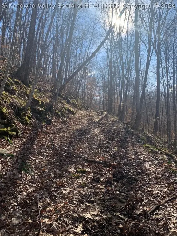 TBD Buckeye Creek Road, Sutton, WV 26601 - Image #2