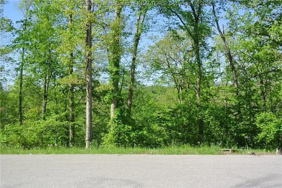 Lot 34 & 36 Double Eagle Drive, Charleston, WV 25314 - Image #3