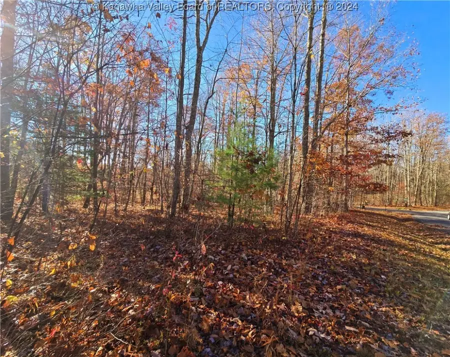 175 Rothfield Circle, Shady Spring, WV 25918 - Image #2