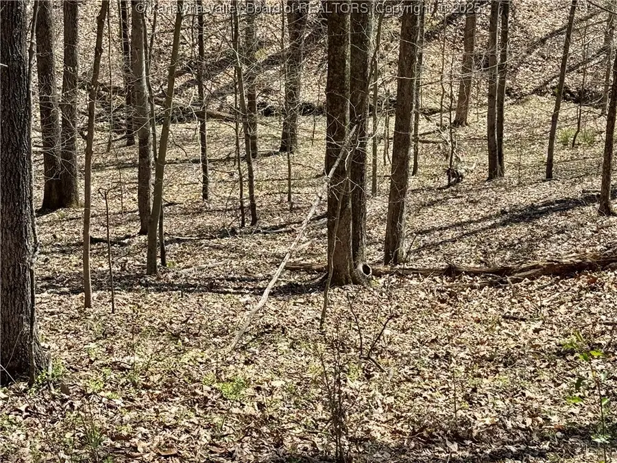 0 Poplar Estates Drive, Scott Depot, WV 25560 - Image #2
