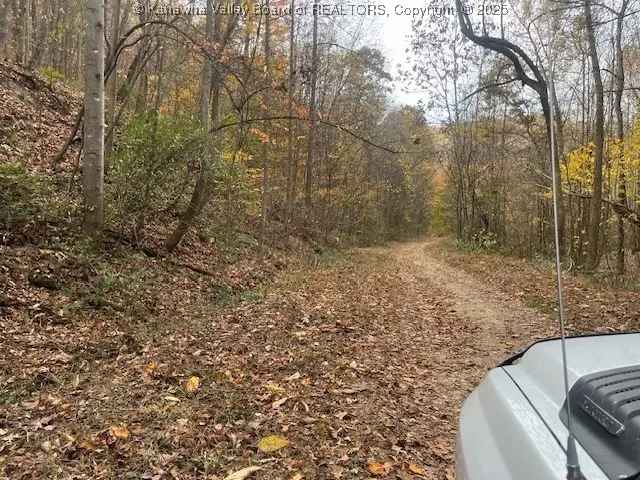 0 Frozen Branch Road, Glasgow, WV 25039 - Image #3