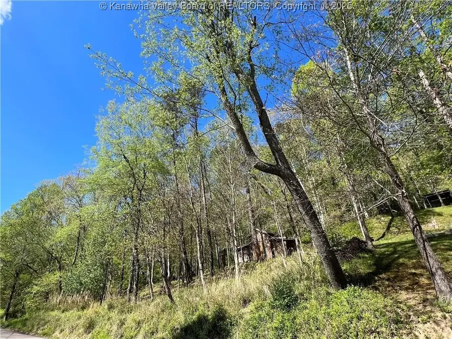 0 Dupont Road, Poca, WV 25159 - Image #3