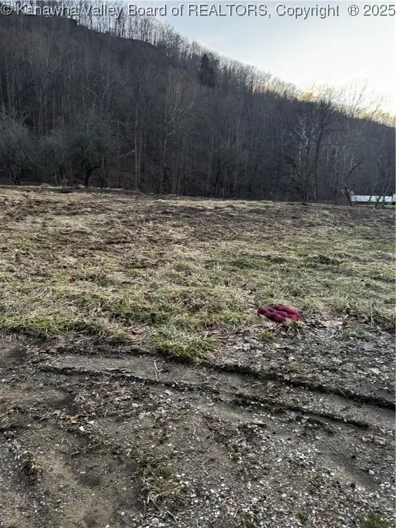 1696 Limestone Branch Road, Harts, WV 25505 - Image #1