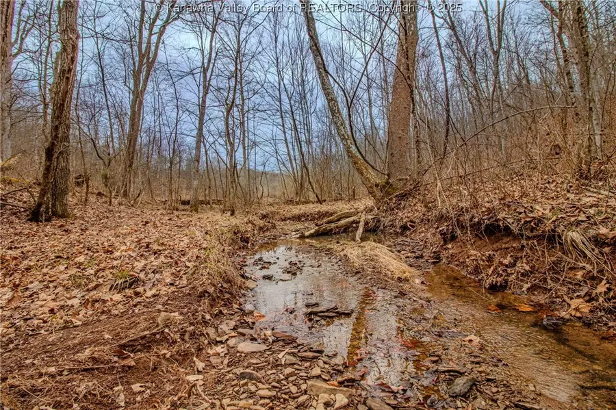 0 Evansview Road, Evans, WV 25241 - Image #2