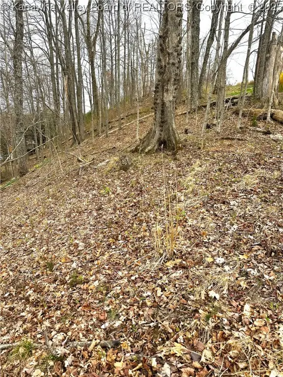 38 Coventry Ridge Road, South Charleston, WV 25309