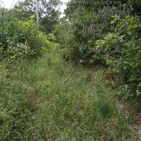 0 State Route 34, Hurricane, WV 25526 - Image #3