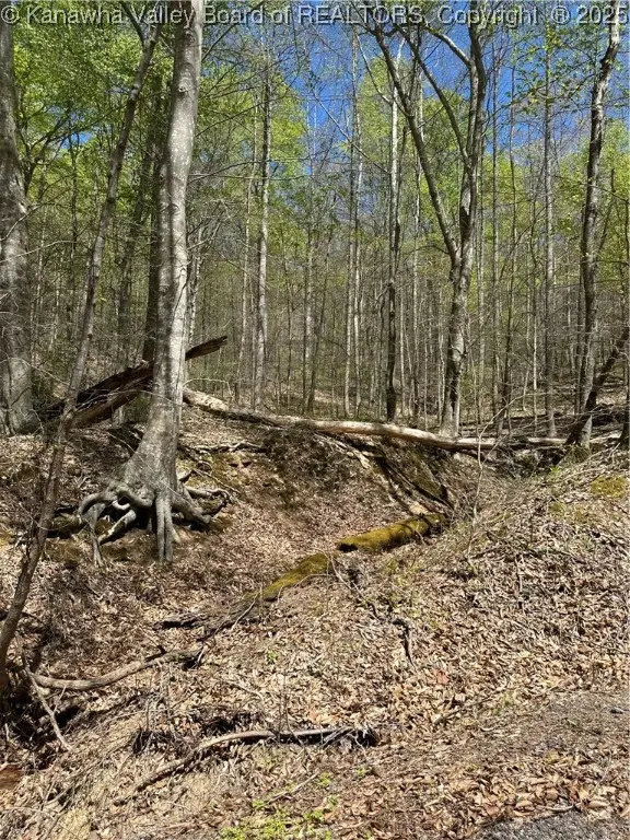 Lot #1 Sugartree Road, Alkol, WV 25501 - Image #1
