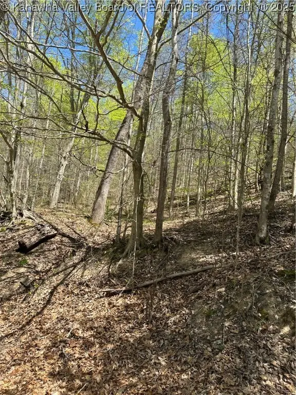 Lot #1 Sugartree Road, Alkol, WV 25501 - Image #2