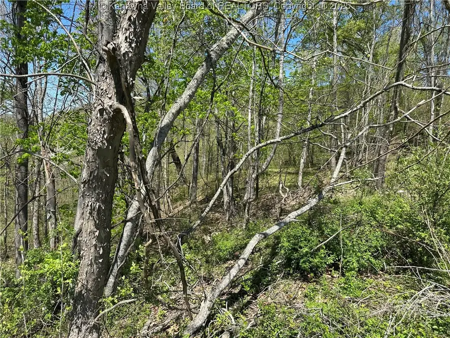 Lot #1 Sugartree Road, Alkol, WV 25501 - Image #3