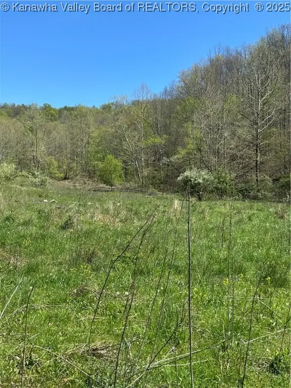 Lot #3 Sugartree Road, Alkol, WV 25501 - Image #1
