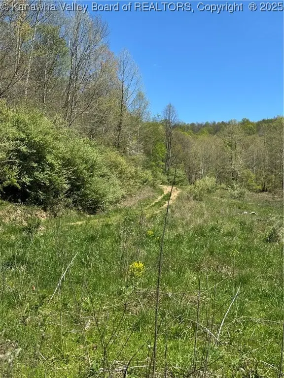 Lot #3 Sugartree Road, Alkol, WV 25501 - Image #2