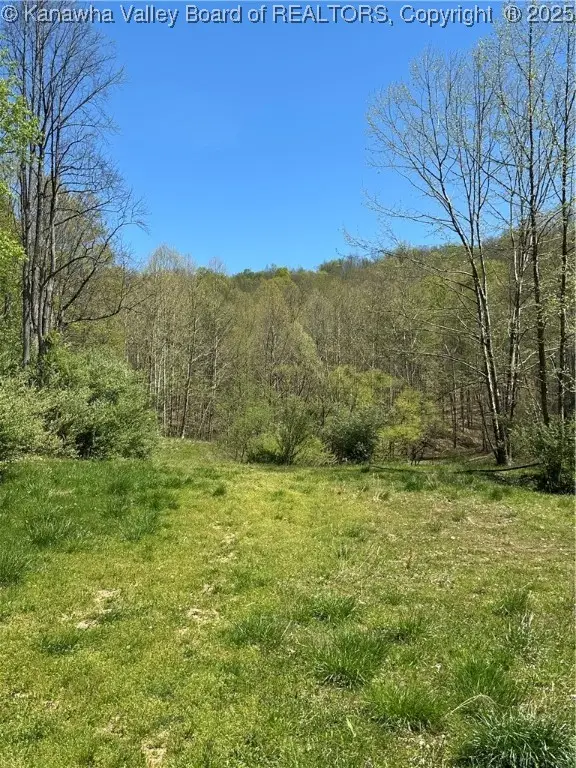 Lot #3 Sugartree Road, Alkol, WV 25501 - Image #3