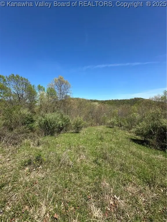 Lot #4 Lucky Lane, Alkol, WV 25501