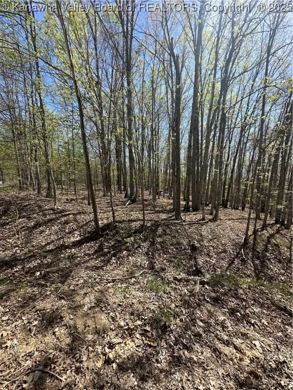 Lot 5 Lucky Lane, Alkol, WV 25501