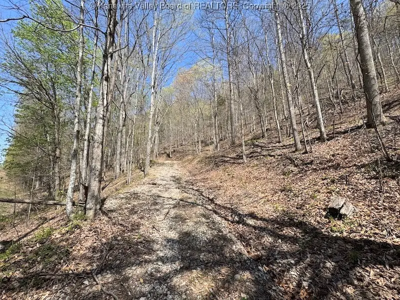 0 Blue Creek Road, Elkview, WV 25071 - Image #2