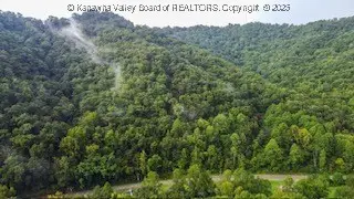1136 Pond Fork Road, Madison, WV 25130 - #3