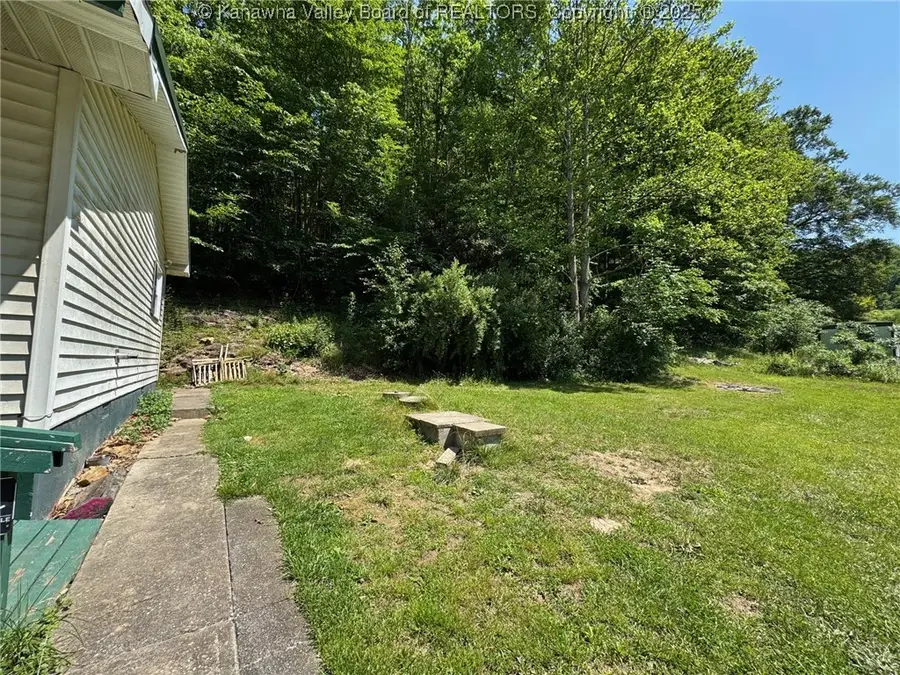 2608 Procious Maysel Road, Maysel, WV 25133 - Image #3