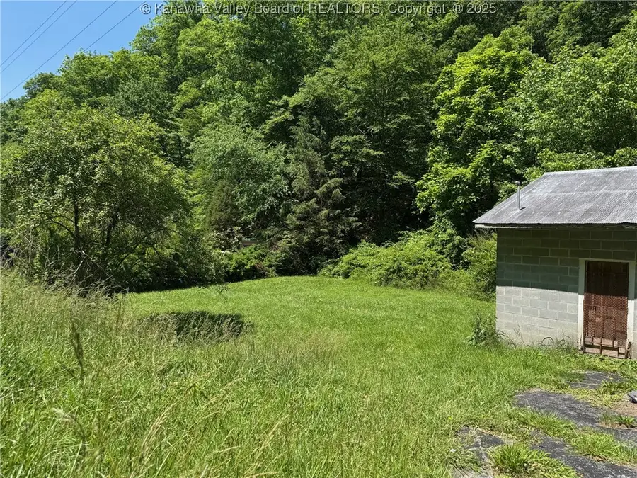 189 Wallback Road, Maysel, WV 25133 - Image #2