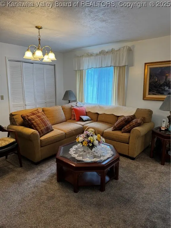 1198 Caney Branch Road, Chapmanville, WV 25508 - Image #3