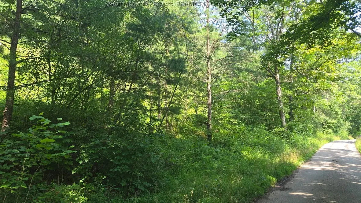 0 Walters Run Road, Ripley, WV 25271 - Image #1