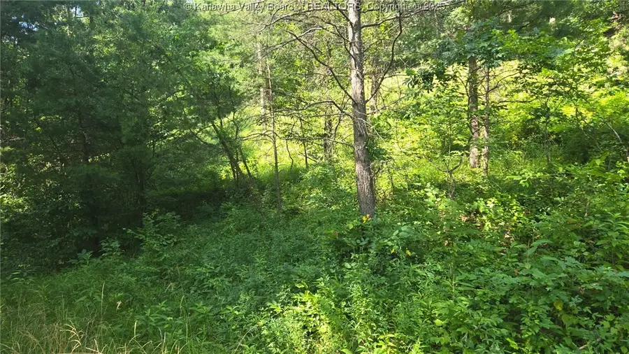 0 Walters Run Road, Ripley, WV 25271 - Image #2