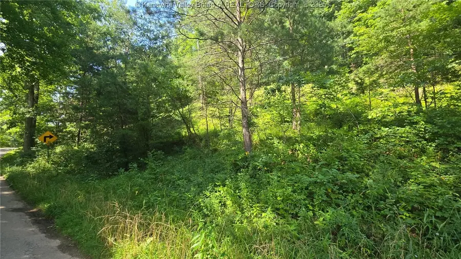 0 Walters Run Road, Ripley, WV 25271 - Image #3