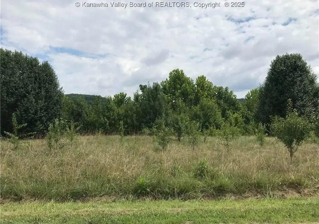 16224 Winfield Road, Winfield, WV 25213 - Image #1