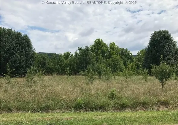 16224 Winfield Road, Winfield, WV 25213