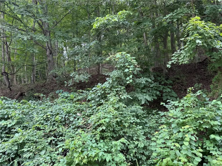 1037 Maccorkle Avenue, Saint Albans, WV 25177 - Image #2