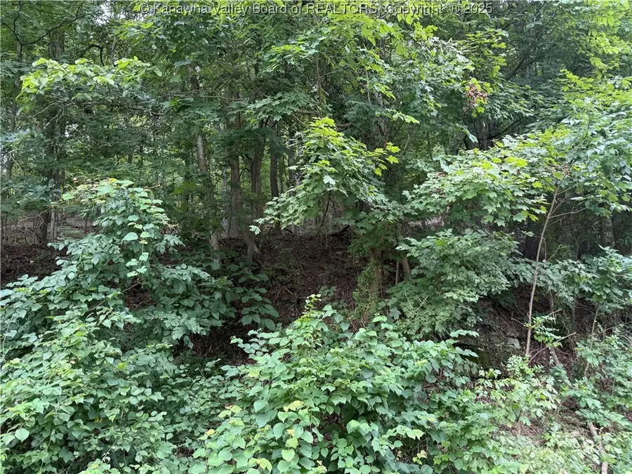 1037 Maccorkle Avenue, Saint Albans, WV 25177 - Image #3