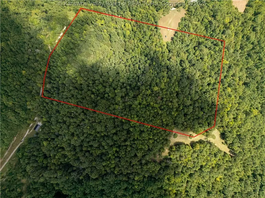 0 Rocky Knob Road, Gay, WV 25244 - Image #3