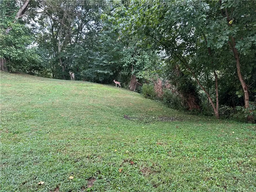 414 Ashton Lane, Ravenswood, WV 26164 - Image #3