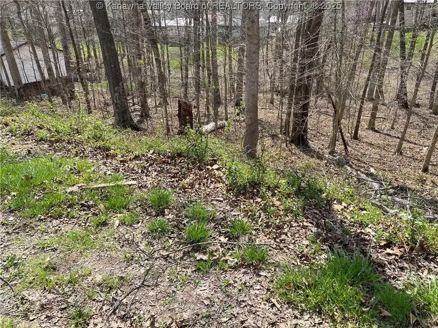 1189 Hillcrest Drive, Saint Albans, WV 25177 - Image #2