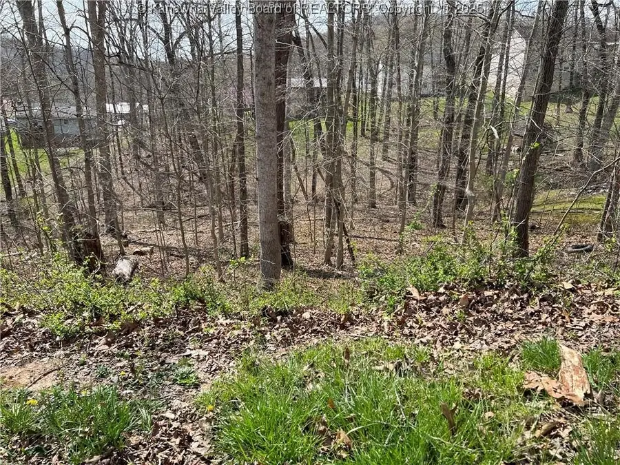 1189 Hillcrest Drive, Saint Albans, WV 25177 - Image #3