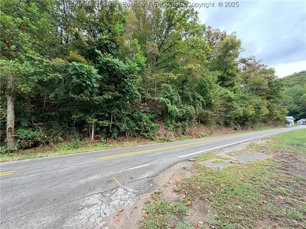 TBD Pecks Mill Road, Logan, WV 25547