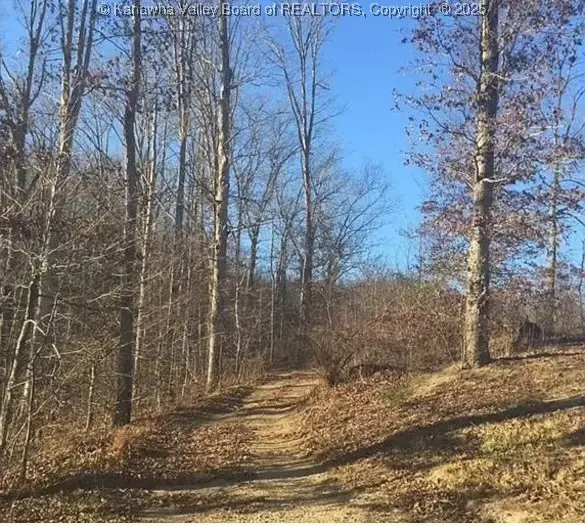 3129 Straight Fork, Alkol, WV 25501 - Image #2