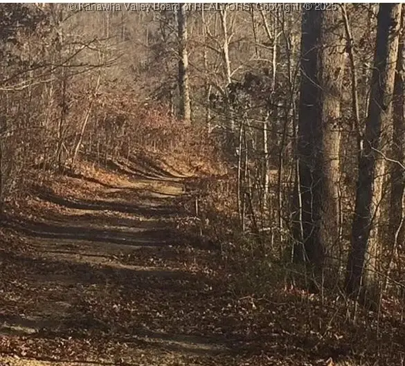 3129 Straight Fork, Alkol, WV 25501 - Image #3