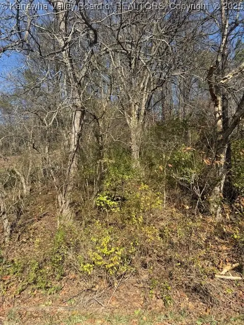 0 Kay Neva Lane, Charleston, WV 25312 - Image #1