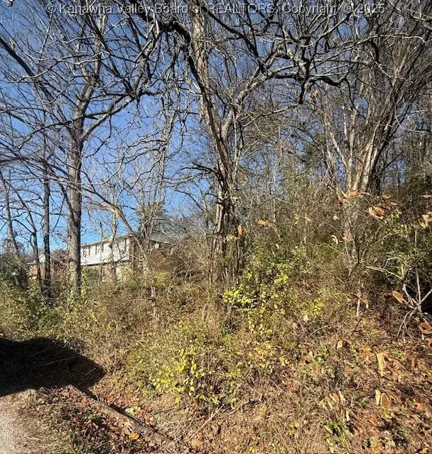 0 Kay Neva Lane, Charleston, WV 25312 - Image #3